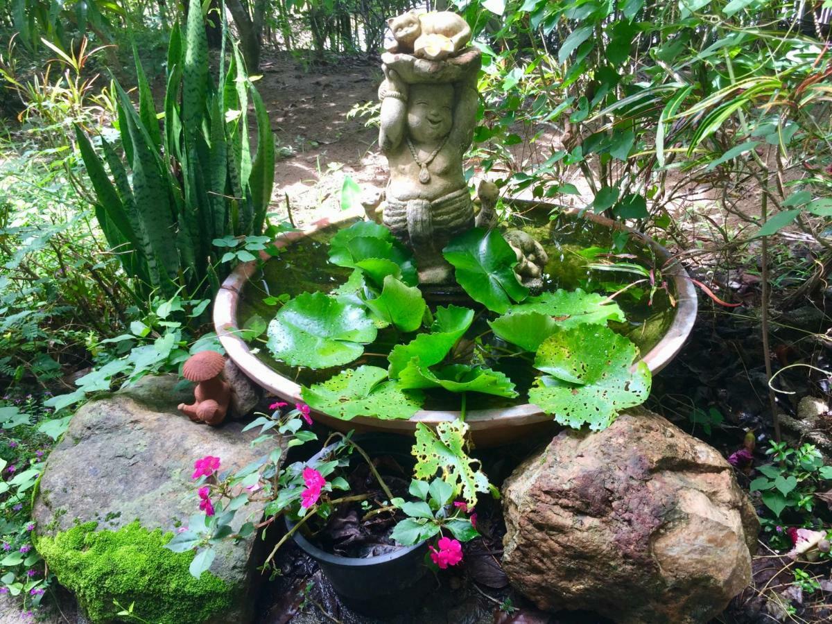 Bueng Pai Farm บึงปายฟาร์ม Villa Kültér fotó
